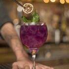 Jogo De 4 Taças Para Gin Tônica Nadir 600 Ml