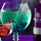 Jogo De 6 Tacas Para Gin Symphony 655ml - Pasabahce