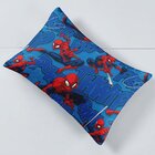 Jogo De Cama 2 Peças Toque De Seda - Infantil Homem Aranha