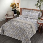 Jogo De Cama Casal 4 Peças 100% Algodão Royal Santista - Marr