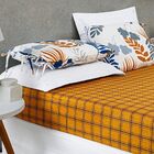 Jogo De Cama Floreal 200 Fios Casal 03 Peças - Leaves