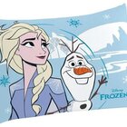 Jogo De Cama Infantil - Frozen Divertido - Misto - 2 Peças -