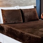 Jogo De Cama Lençol Biasoft Casal Padrão Manta Flannel Toque