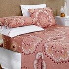 Jogo De Cama Lençol Sofia Casal Queen Micropercal 200 Fios To