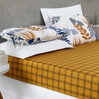 Jogo De Cama Lençol Sparta Casal Micropercal 200 Fios Estampa