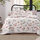 Jogo De Cama Queen 4 Peças Altenburg Malha Fio Penteado 100%