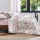 Jogo De Cama Queen 4 Peças Altenburg Malha Fio Penteado 100%