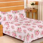 Jogo De Cama Queen 4pç Lençol Encanto Estamparia Bege C/flor