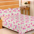 Jogo De Cama Queen 4pç Lençol Encanto Estamparia Salmão C/flo