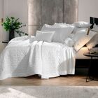 Jogo De Cama Queen Altenburg Bordados Em Cetim 300 Fios Lumié