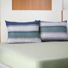 Jogo De Cama Queen Doce Vida Azul Un