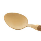 Jogo De Colheres Sobremesa Em Inox Com Cabo Plástico Lyor Bam