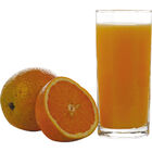 Jogo De Copos Nadir Geometria Long Drink Com 6 Peças