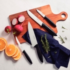 Jogo De Facas 4 Peças Plenus Preto Tramontina