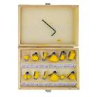 Jogo De Fresas Para Tupia Com 12 Peças De 6mm 9zp Eda