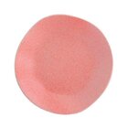 Jogo De Jantar E Chá 20 Peças Ryo Pitaia Oxford