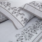 Jogo De Lençol Casal Queen Buddemeyer Percalle Magnólia Queen