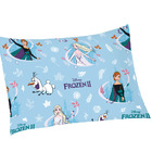 Jogo De Lençol Personagens Frozen Solteiro Lepper 2 Peças Mic
