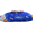 Jogo De Lençol Personagens Frozen Solteiro Lepper 2 Peças Mic