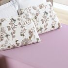 Jogo De Lençol Queen Quality Malha 100% Algodão 3 Peças - But