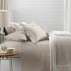 Jogo De Lençol Trussardi Belami Queen Nocciola