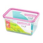 Jogo De Potes Herméticos De Plástico Freshy 2 Peças 2l Roxo -