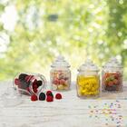 Jogo De Potes Herméticos De Vidro 300ml 8 Peças - Casambiente