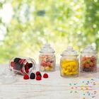 Jogo De Potes Herméticos De Vidro 300ml 8 Peças - Casambiente