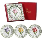 Jogo De Pratos Rasos Scalla La Table - Tulipas (4 Peças)