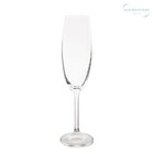 Jogo De Taça Para Champanhe Gastro Titânio 220 Ml 6 Peças