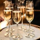 Jogo De Taças De Champanhe De Cristal Com Titânio 6 Peças 220