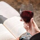 Jogo De Taças De Vinho Cristal 6 Peças Taças Para Vinho 450ml