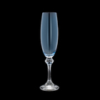 Jogo De Taças Para Champanhe Em Cristal Bohemia Elisa 220ml 6