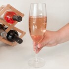 Jogo De Taças Para Champanhe Espumante Champagne Acrílico Fes