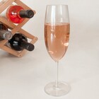 Jogo De Taças Para Champanhe Espumante Champagne Acrílico Fes