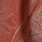 Jogo De Toalhas De Banho Florenca 2 Peças Damasco