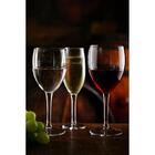 Jogo Taça Champanhe Bormioli Rocco Cristal 200ml Com 6 Peças