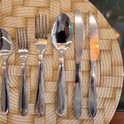 Jogo Talhares De Mesa Inox Prime Lagoa 12 Peças Garfo, Colher