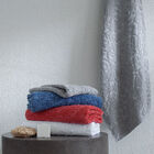 Jogo Toalhas Banho Buddemeyer 2p Mauren Coral