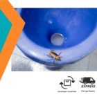 K-othrine Mata Barata Gel 10g