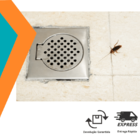 K-othrine Mata Barata Gel 10g