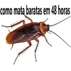 K-othrine Sc Moscas/baratas/mosquitos Bayer 30ml