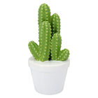 Kaktus Adorno Decorativo 21x9x9cm Cerâmica Verde Cacto