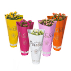 Kalanchoe Dobrado Paixoes Pote 11