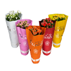 Kalanchoe Dobrado Paixoes Pote 11