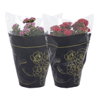 Kalanchoe Dobrado Pote 15