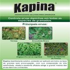Kapina Desinfestante Seletivo Para Gramados Tradicional 60 Ml