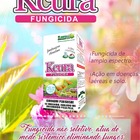Kcura 100ml Controla Fungos Mancha Preta Plantas E Gramado -