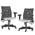 Kit 02 Cadeiras De Escritório Giratória Ergonômica Liss L02 C