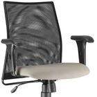 Kit 02 Cadeiras De Escritório Giratória Ergonômica Liss L02 S